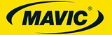 MAVIClogo.jpg
